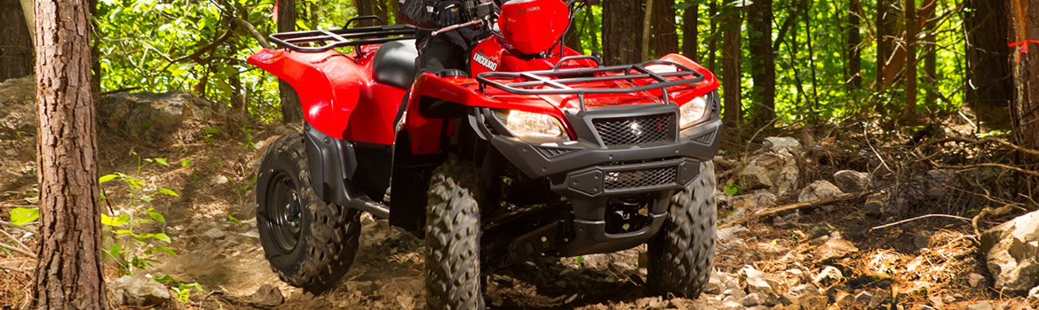 2017 Suzuki KingQuad 500AX for sale in Etown Powersports, Elizabethtown, Kentucky